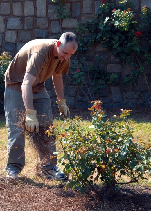 Мульчирование (Mulch)