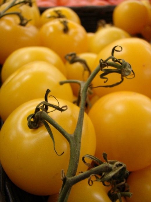 Томат (Tomato)