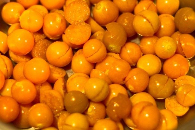 Физалис (Physalis) Физалис (Physalis)
