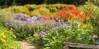 Сад в деревенском стиле