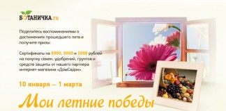 Конкурс «Мои летние победы»