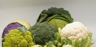 Капустные или Крестоцветные (Brassicaceae)