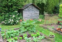 Загородный участок