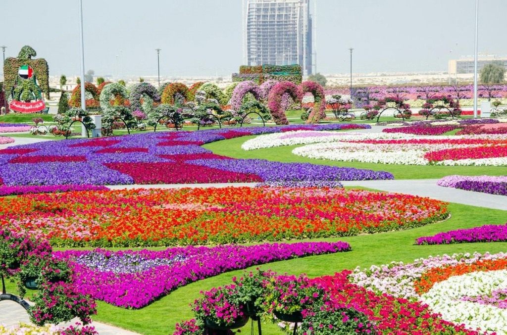 Чудо Сад в Дубай (Dubai Miracle Garden)
