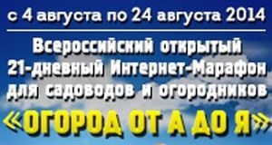 Интернет-марафон «Огород от А до Я»