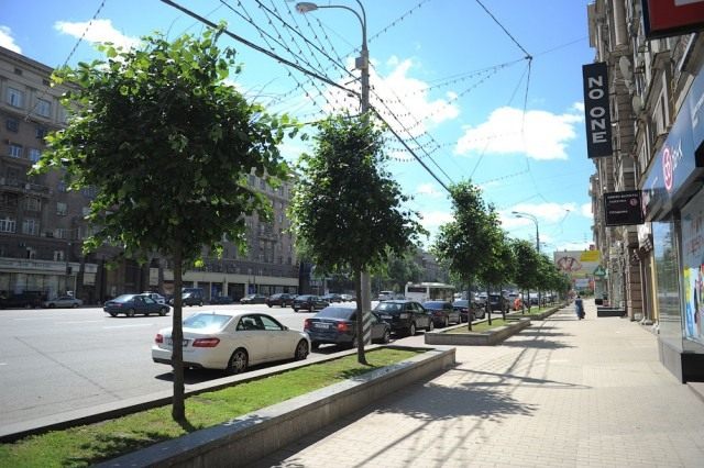 Москва, Озеленение Кутузовского проспекта Москва, Озеленение Кутузовского проспекта