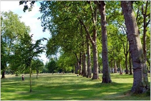 Лондон, Королевский Гайд-парк (Hyde Park) Лондон, Королевский Гайд-парк (Hyde Park)