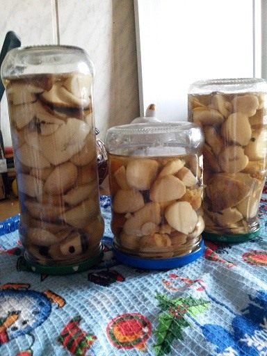 Маринованные белые грибы с корицей