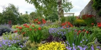 Как создать красивый и стильный цветник. Общие правила - Ландшафтный дизайн Цветник