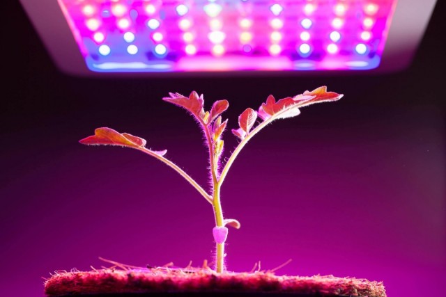 Панель светодиодная для выращивания растений