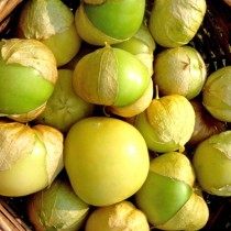Физалис Королек Физалис Королек