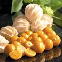 Физалис изюмный Физалис изюмный