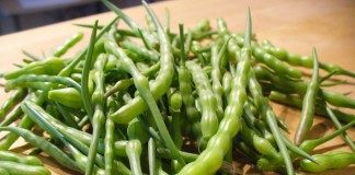 Редис стручковый, или змеевидный, или хвощевой, или яванская редиска
