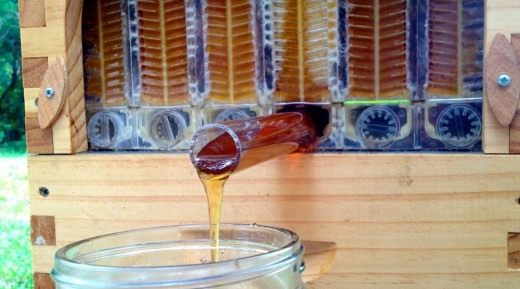 Мёд стекает из ячейки