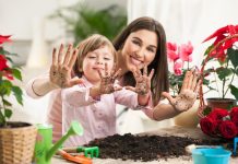 5 идеальных растений для ребёнка - Комнатные растения 5 идеальных растений для ребёнка