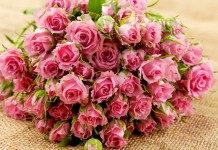 Буррито — простой и эффективный метод размножения роз - Цветник и ландшафт Букет роз