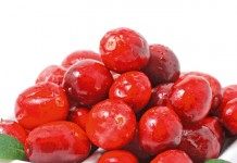 Клюква крупноплодная Ред Стар - Сад и огород Клюква, сорт "Ред Стар"