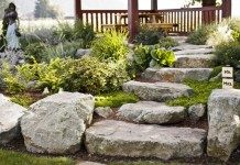 Эффектная презентация лестниц у водоемов и зон отдыха - Цветник и ландшафт Оформление лестницы, ведущей к беседке