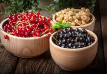 Смородина — капризная дама или культура с особенностями? - Сад и огород Смородина — капризная дама или культура с особенностями?