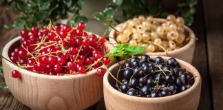 Смородина — капризная дама или культура с особенностями?