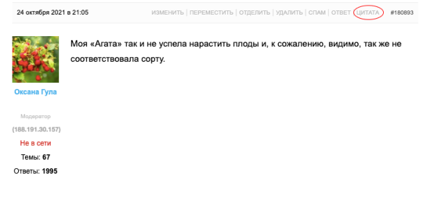 Нажмите на кнопку "Цитата"