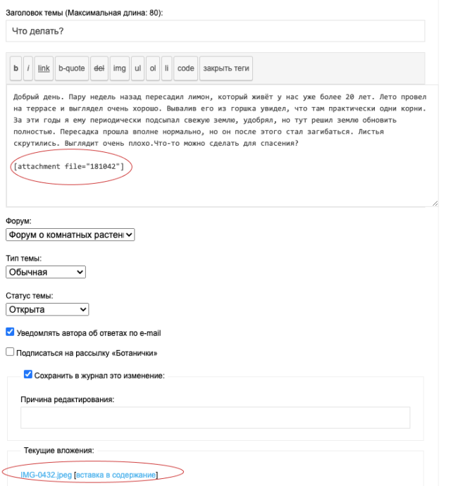 Вставка в содержание