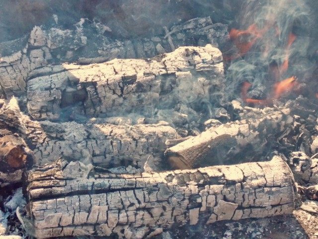 Готовим угли для шашлыка Готовим угли для шашлыка