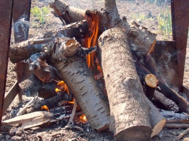 Древесина лиственных пород лучше всего подходит для углей под шашлык Древесина лиственных пород лучше всего подходит для углей под шашлык