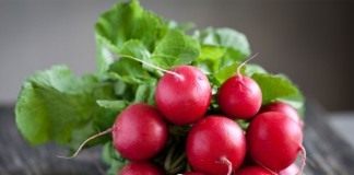 Почему не удается редис? - Овощи Редис