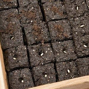 05-soil-block
