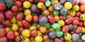 Разноцветные томаты
