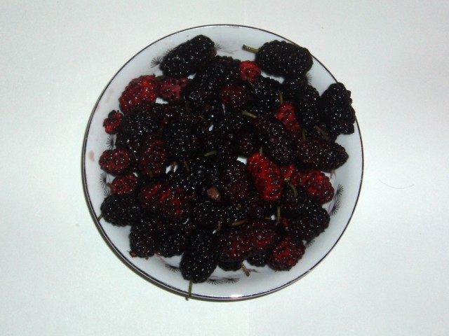 Плоды шелковицы Плоды шелковицы