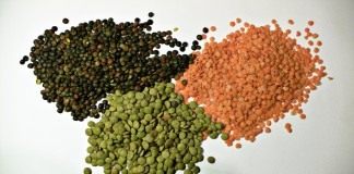 Чечевица чёрная, красная и зелёная