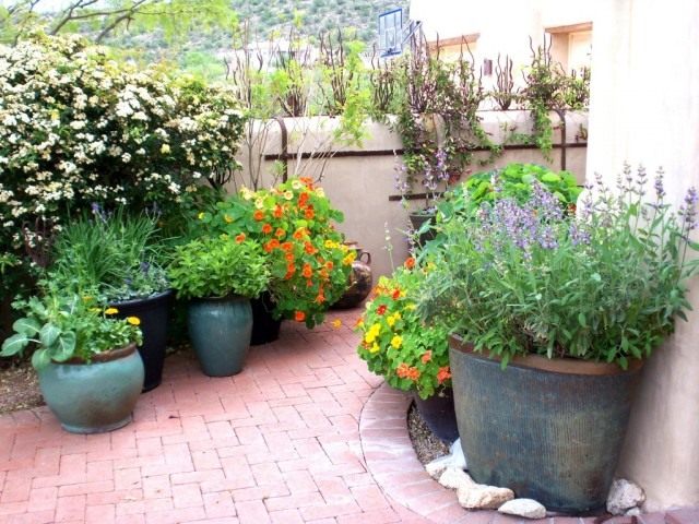 Горшечные сады позволяют обновлять дизайн сада в зависимости от сезона и настроения