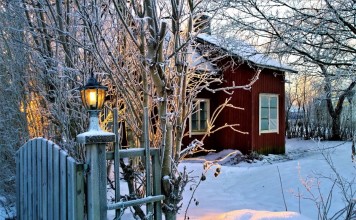 В феврале продолжаем ухаживать за садом и готовится к новым посадкам