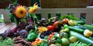 ЭМ-препараты улучшают рост и развитие растений, увеличивают их урожайность и качество выращенной продукции