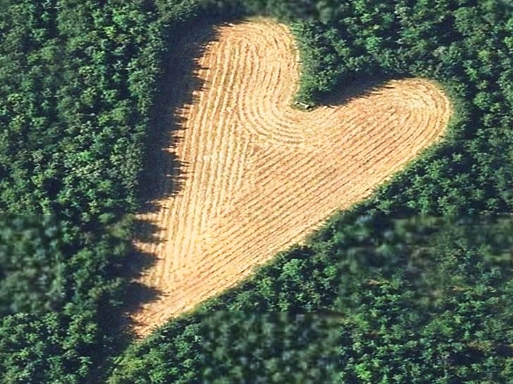 Heart-shaped-meadow