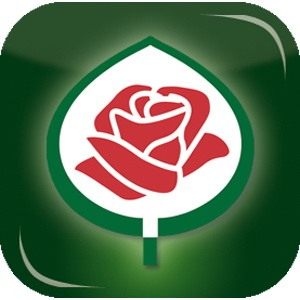 Эмблема Allgemeine Deutsche Rosenneuheitenprufung (ADR) — генерального немецкого тестера новых сортов роз. Эмблема Allgemeine Deutsche Rosenneuheitenprufung (ADR) — генерального немецкого тестера новых сортов роз.