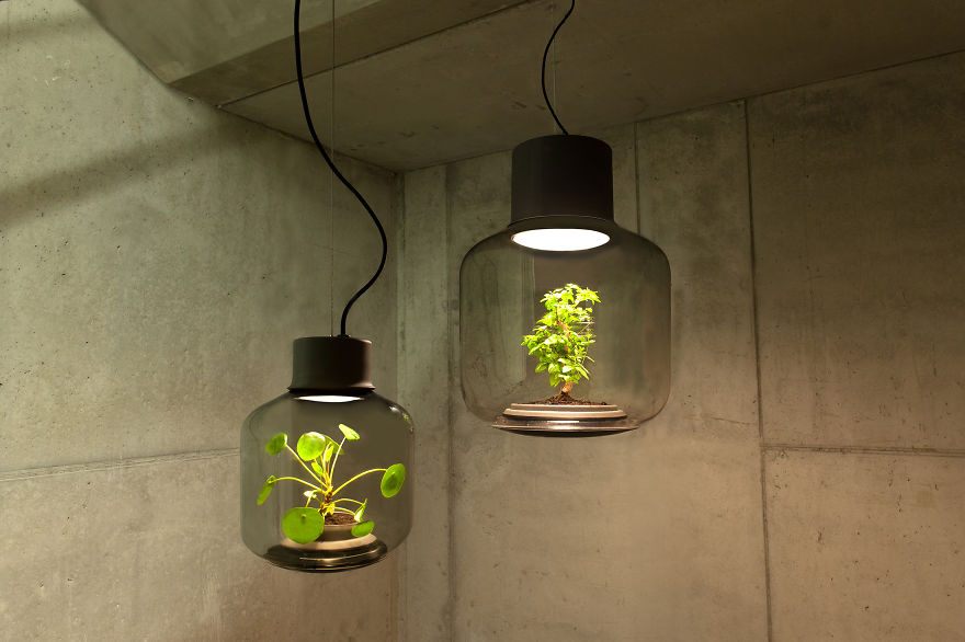 we-designed-these-lamps-to-grow-plants-in-windowless-spaces-1