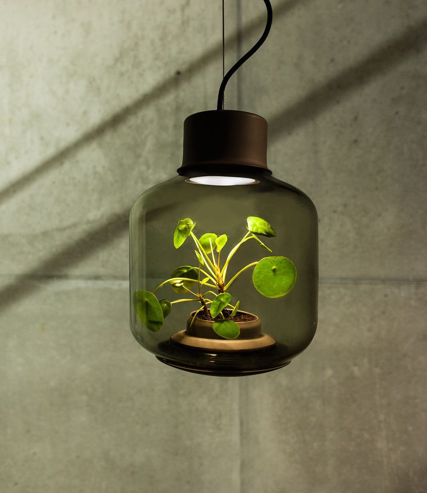 we-designed-these-lamps-to-grow-plants-in-windowless-spaces-2