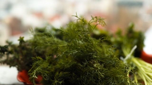 Все органы укропа содержат полезные вещества, но особенно много их в свежих листьях Все органы укропа содержат полезные вещества, но особенно много их в свежих листьях