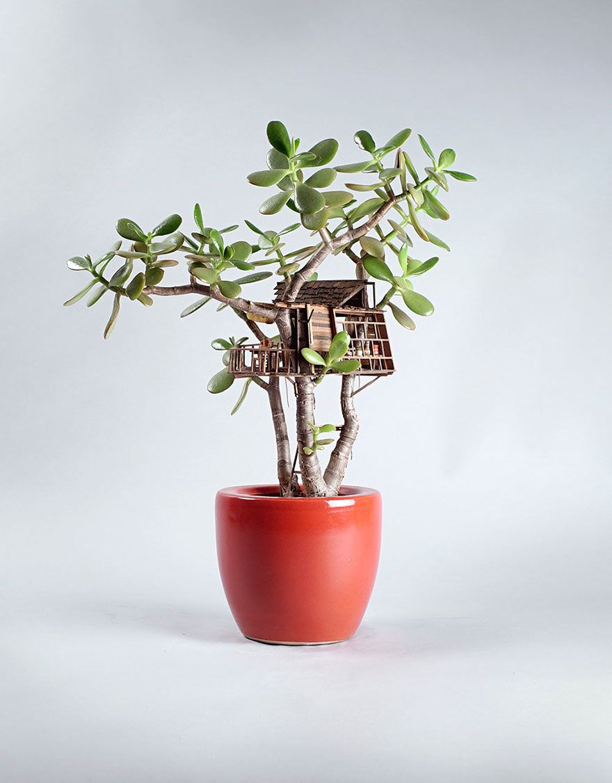 miniature-treehouse-houseplants-somewhere-small-jedediah-corwyn-voltz-6
