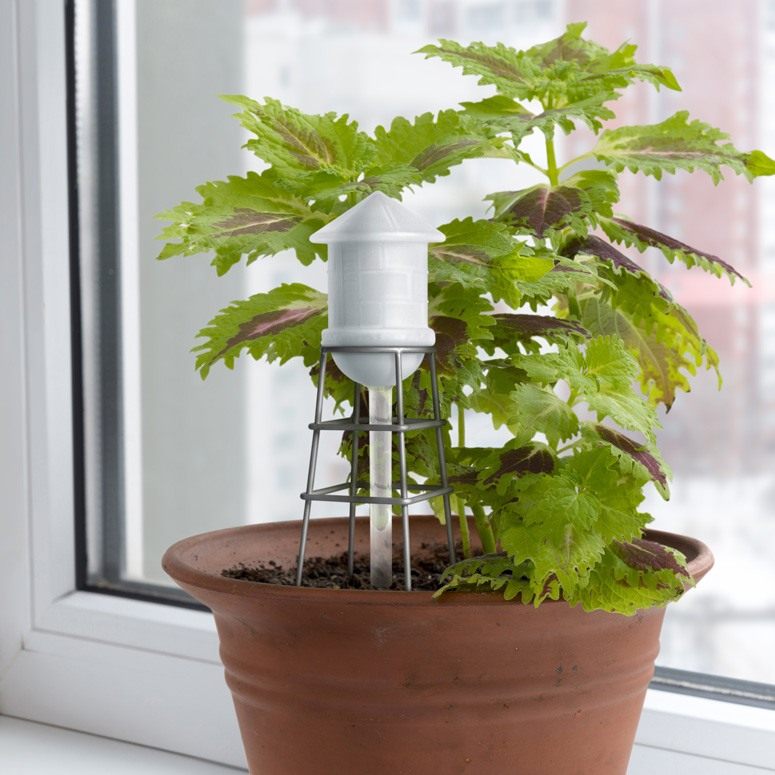 water-tower-plant-self-waterer-xl