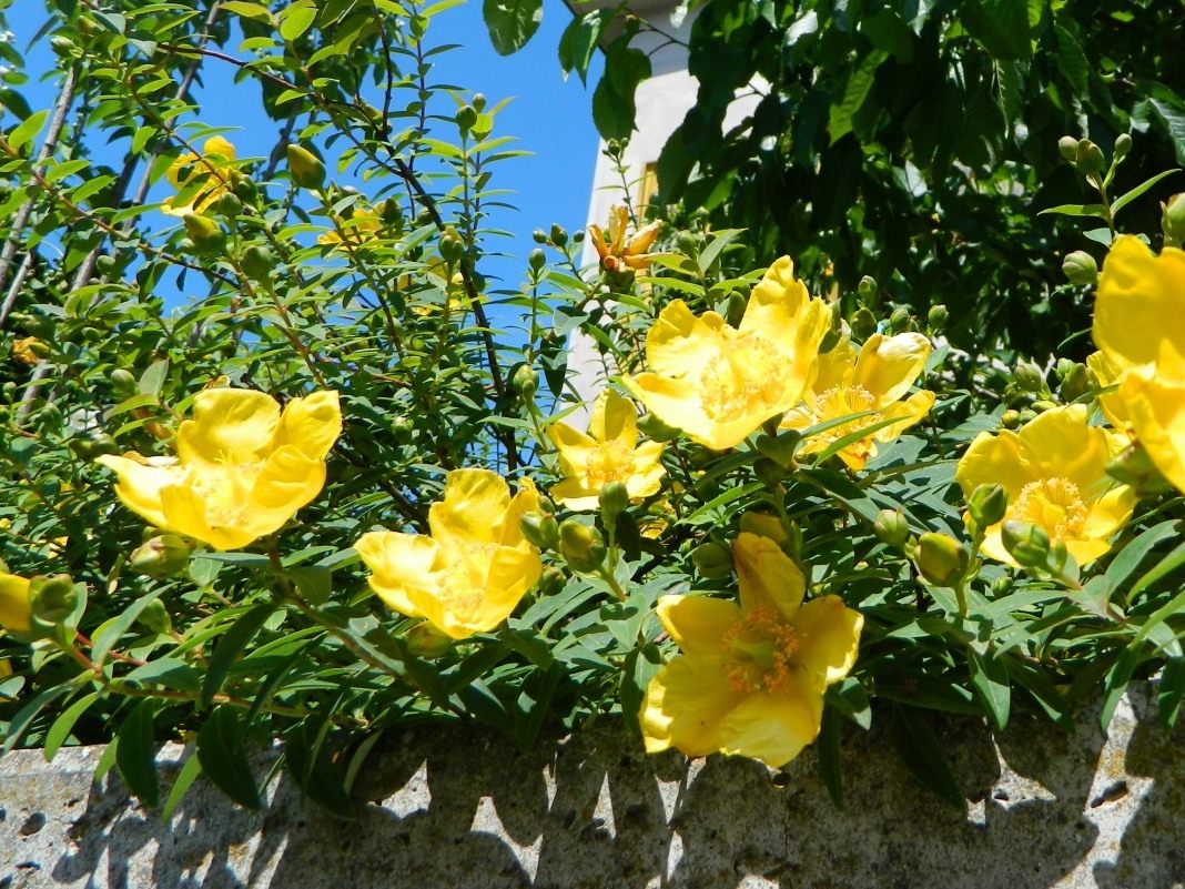 DSCN1653