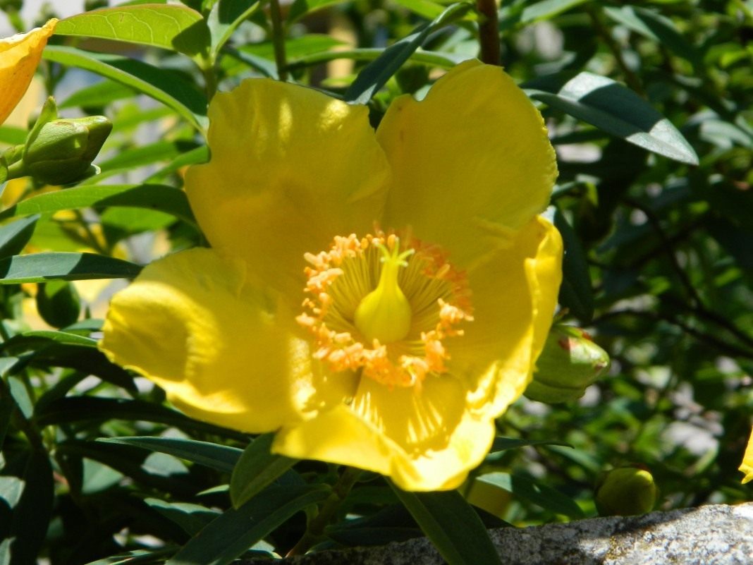 DSCN1657