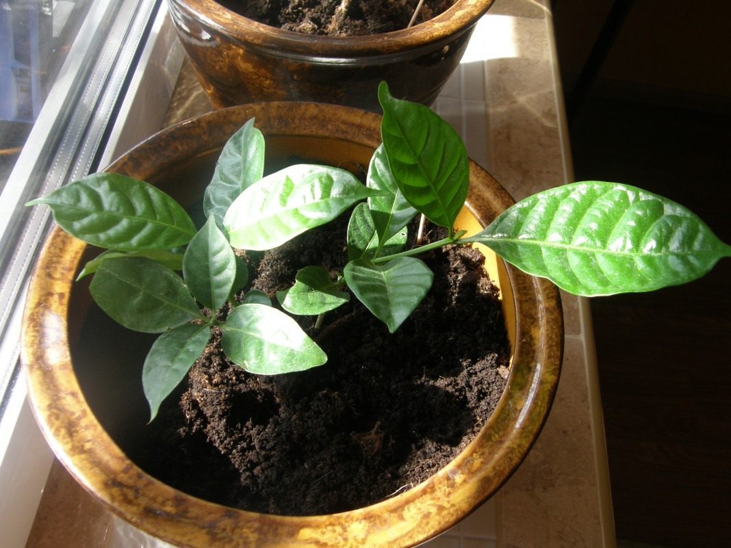 P5030456