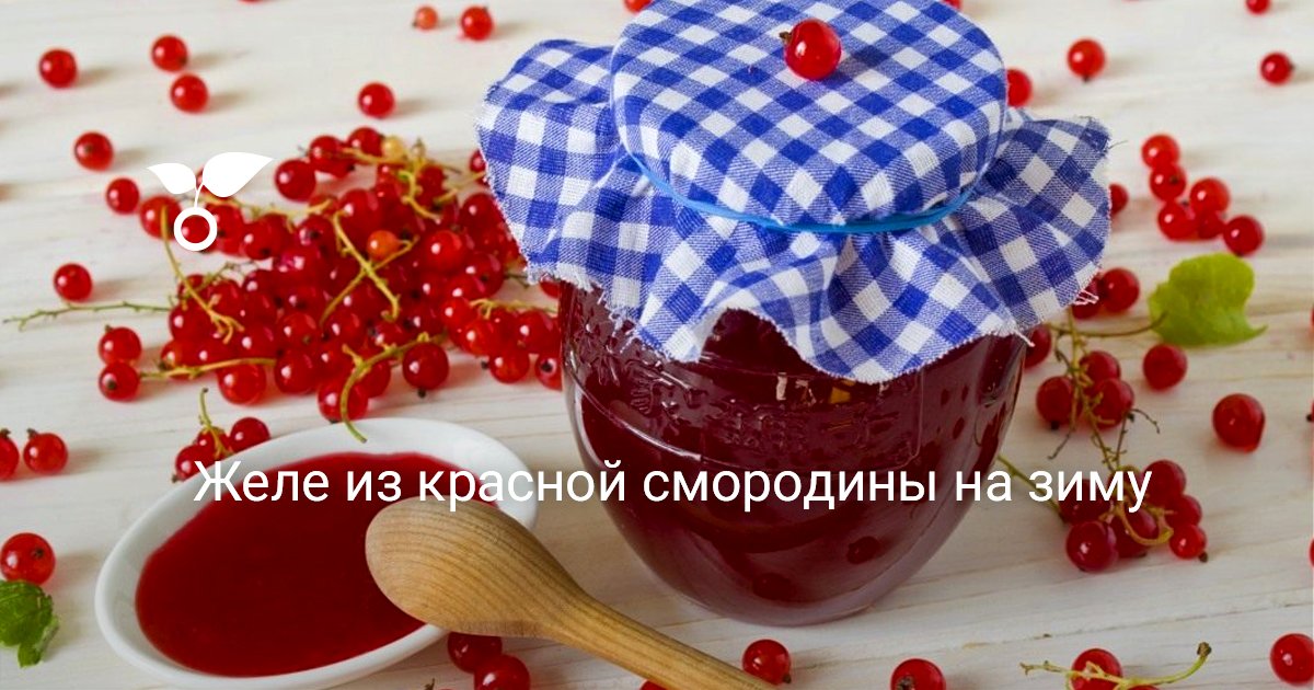 Желе из красной смородины на зиму