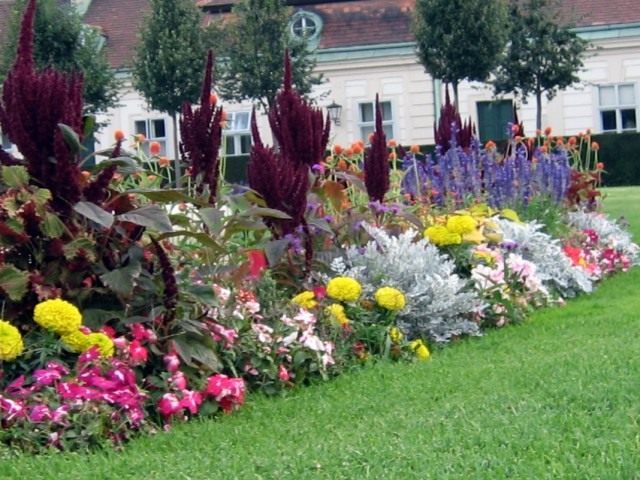 Цветник рабатка Цветник рабатка