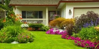 Создание идеального газона