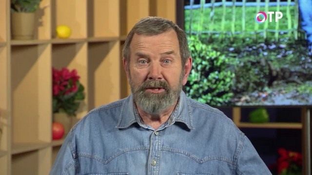 Николай Фурсов. Кандидат сельскохозяйственных наук Николай Фурсов. Кандидат сельскохозяйственных наук